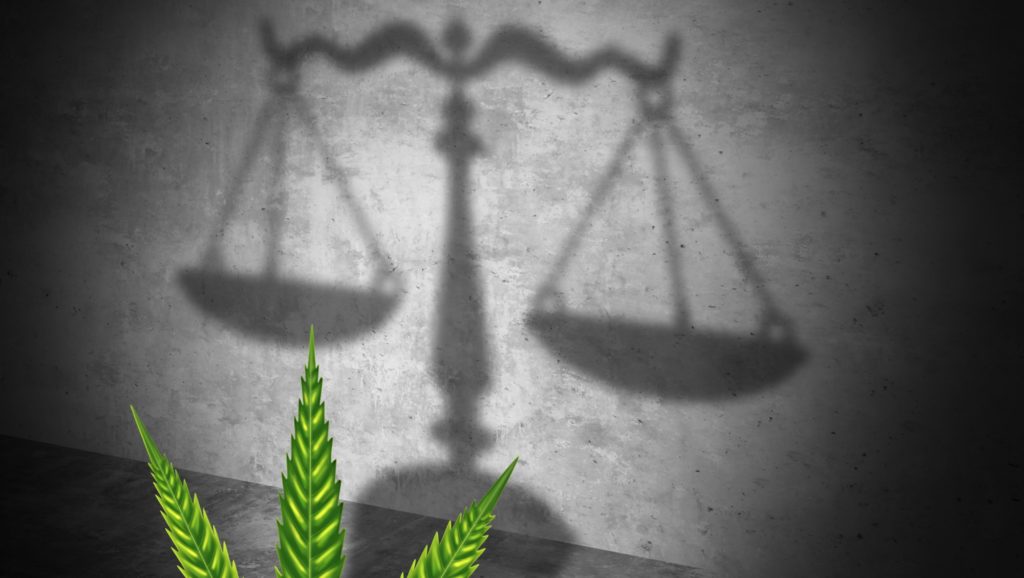 marijuana laws in Tacoma