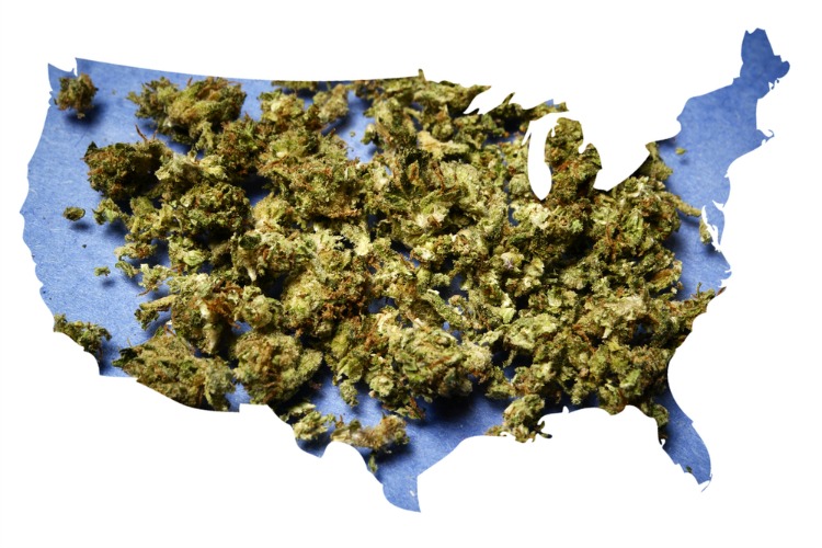 Marijuana Laws in The US