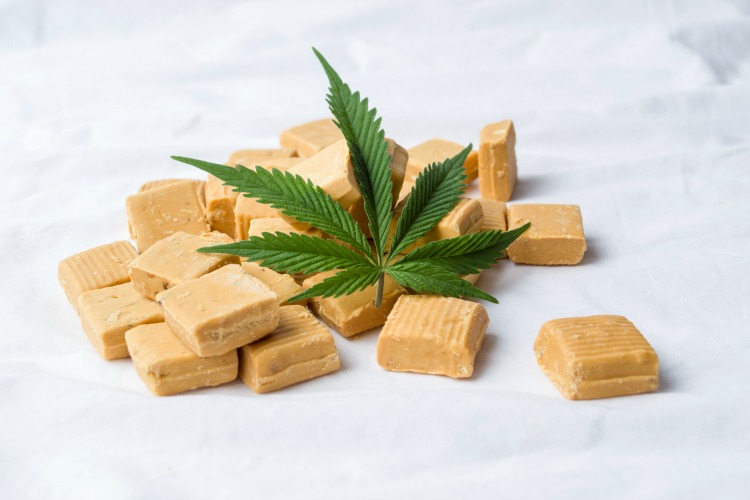 Washington cannabis laws edible