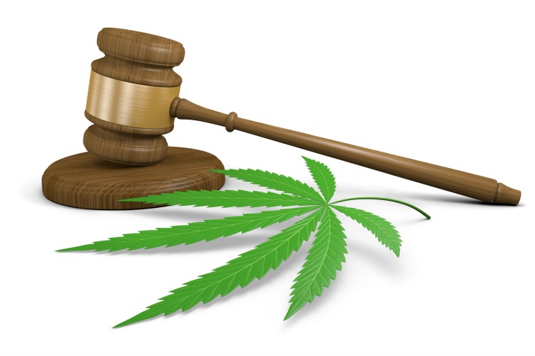 Washington Cannabis laws