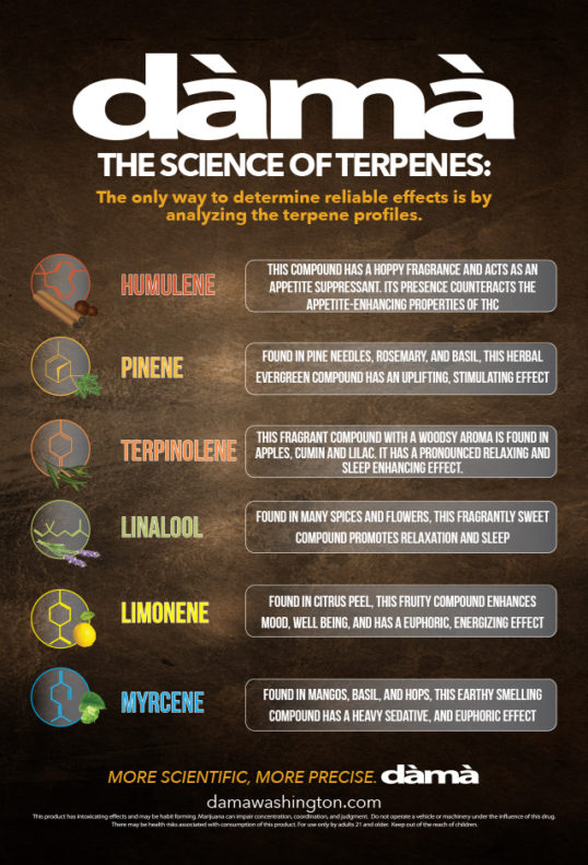 dama cannabis products terpenes