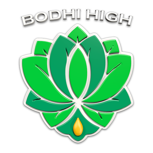 Bodhi High Cannabis