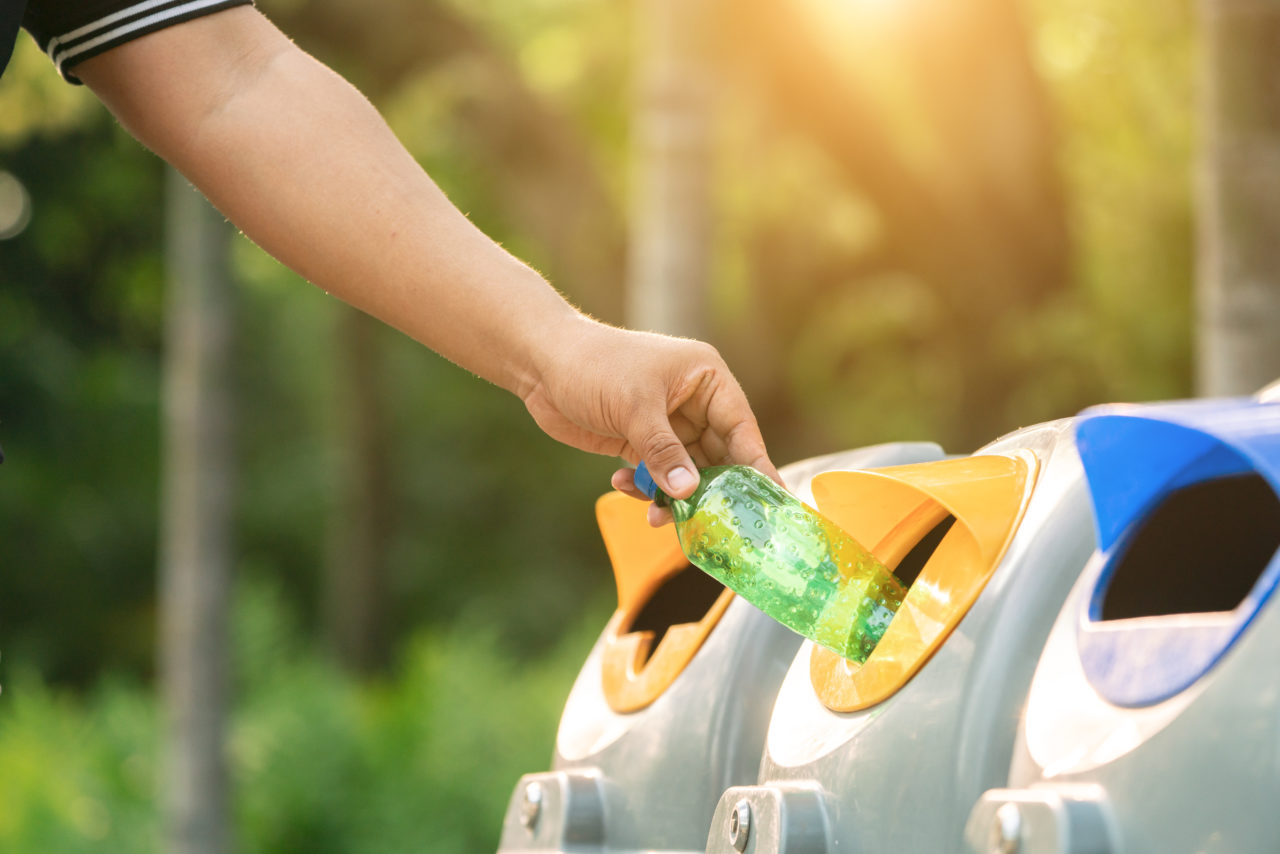 Trash and Recycling in What You Should Know • Mary Mart