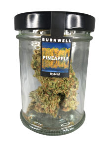 jar of Pineapple by Burnwell