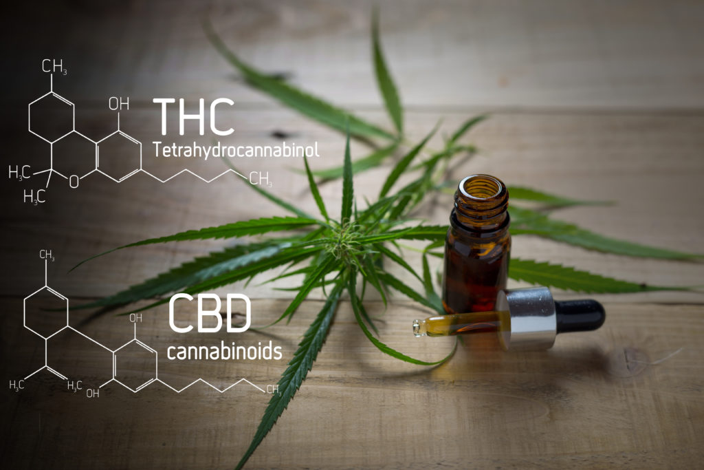 Cannabis tincture, leaves, and THC and CBD molecule structures