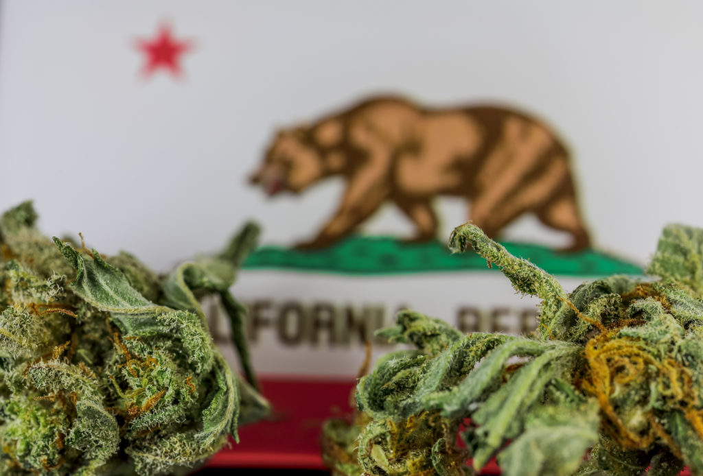 beginning of 420 culture in California